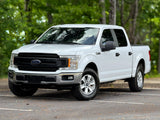 2019 FORD F150 4X4 V8